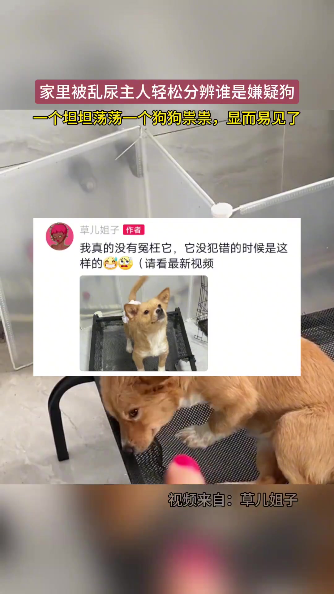 看得出犯人的心理素质不佳啊！