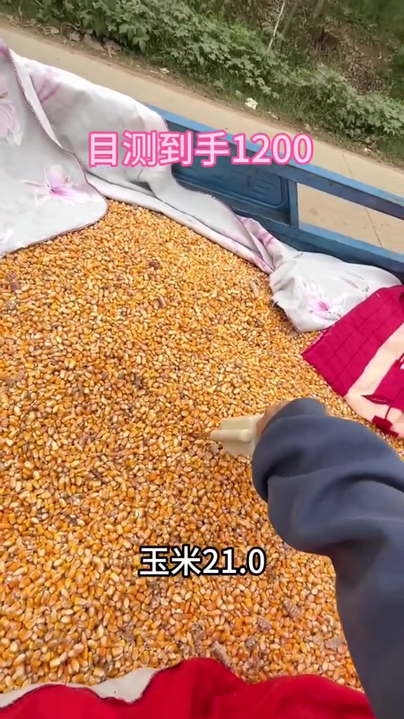 城里人看不懂系列！有吧友揭晓下答案吗？