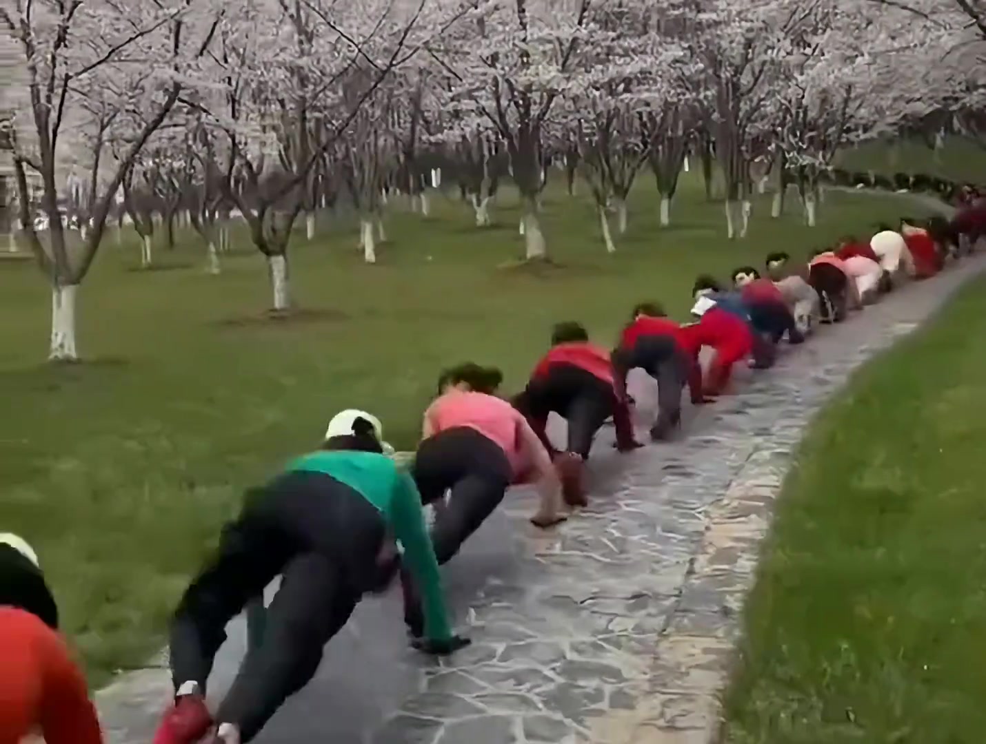 这是回归原始了吗