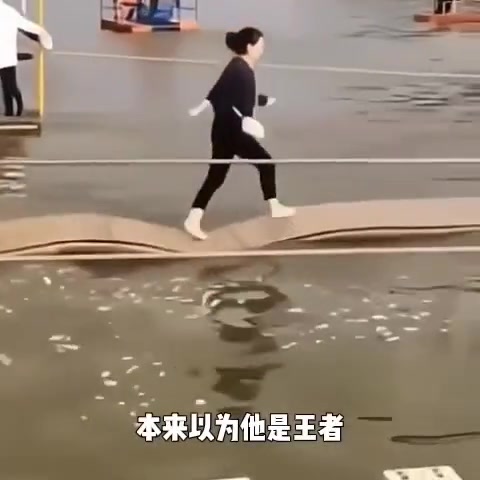 不得不说 摄影师是真稳
