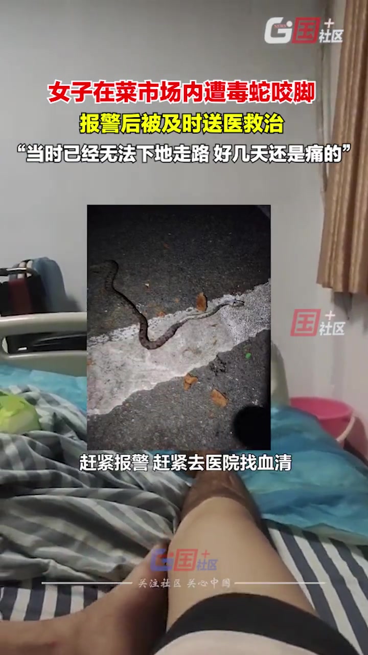 夏天到了，真的要注意蛇类出没！
