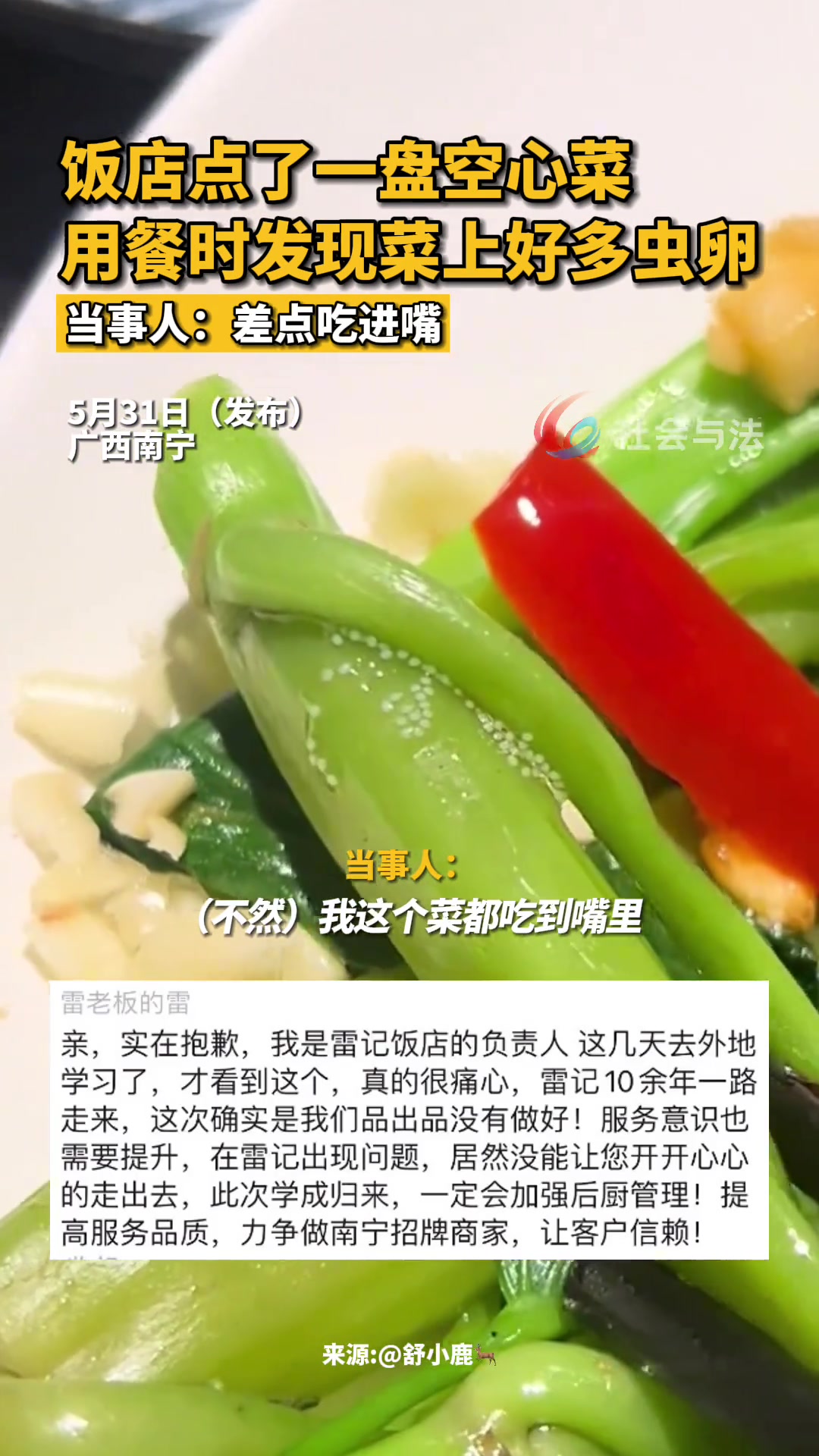 饭店点了一盘空心菜 用餐时发现菜上好多虫卵