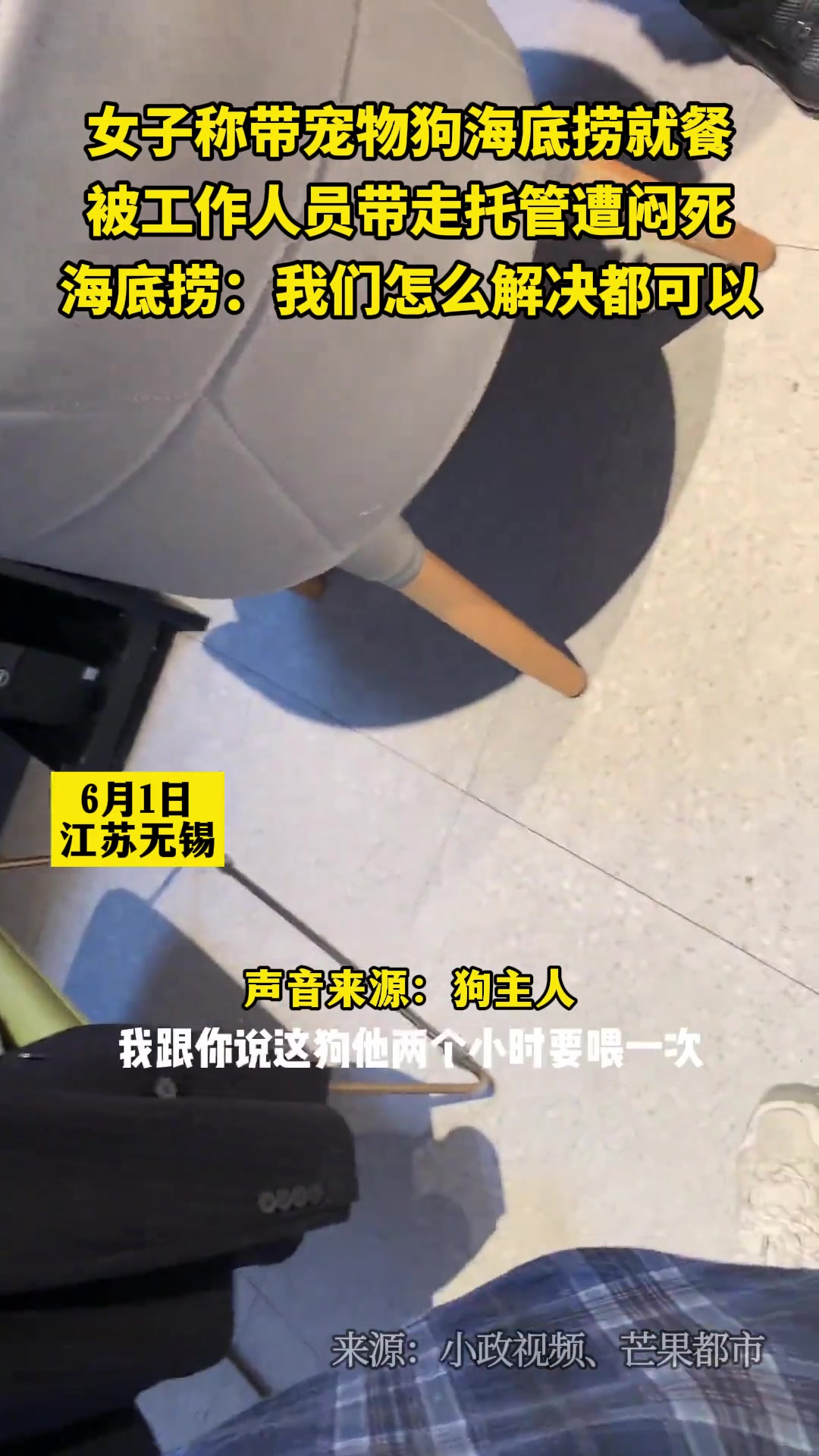 女子带宠物狗海底捞就餐，被工作人员带走托管遭闷死