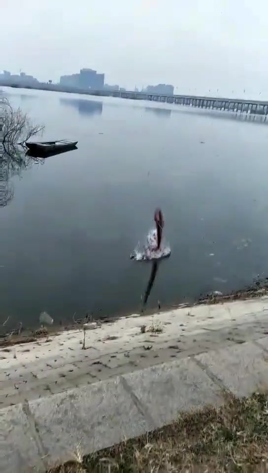 让你来撒网，你给我丢了？