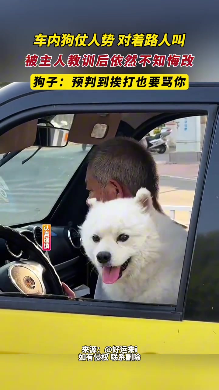 狗：被打？那我也要叫！