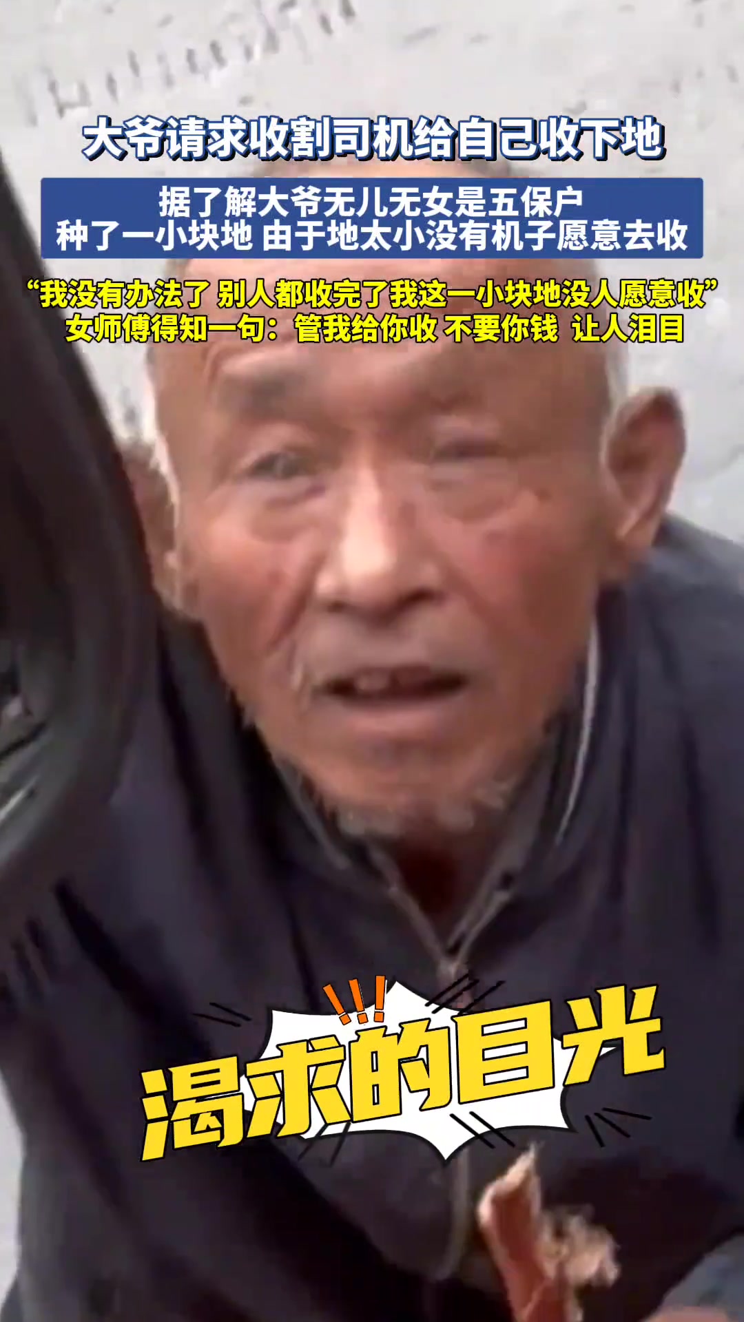 一句不要你钱，我真的狠狠赞了！