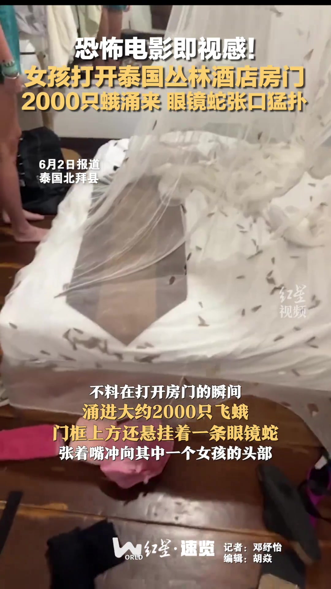 恐怖电影即视感！女孩打开泰国丛林酒店房门，2000只蛾涌来