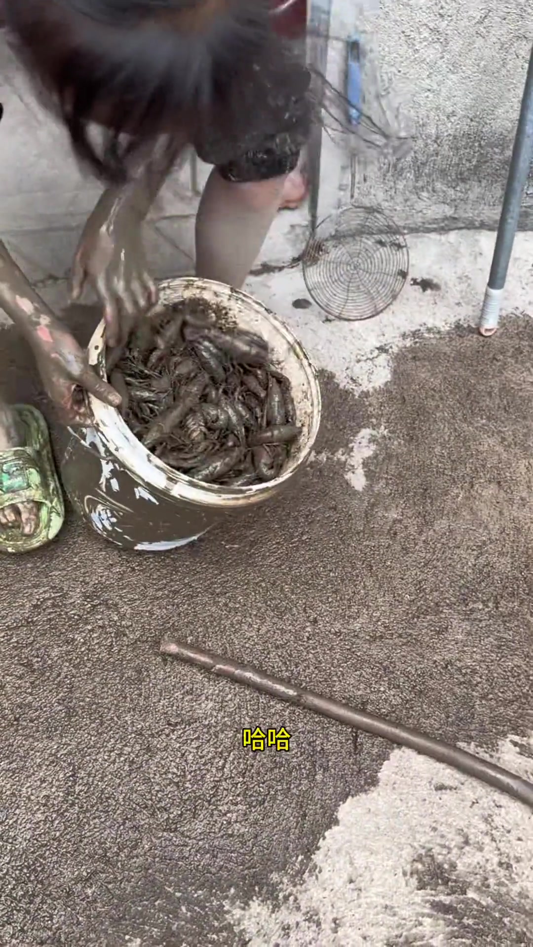 小时候我这样可能我老妈竹条都大段好几根了