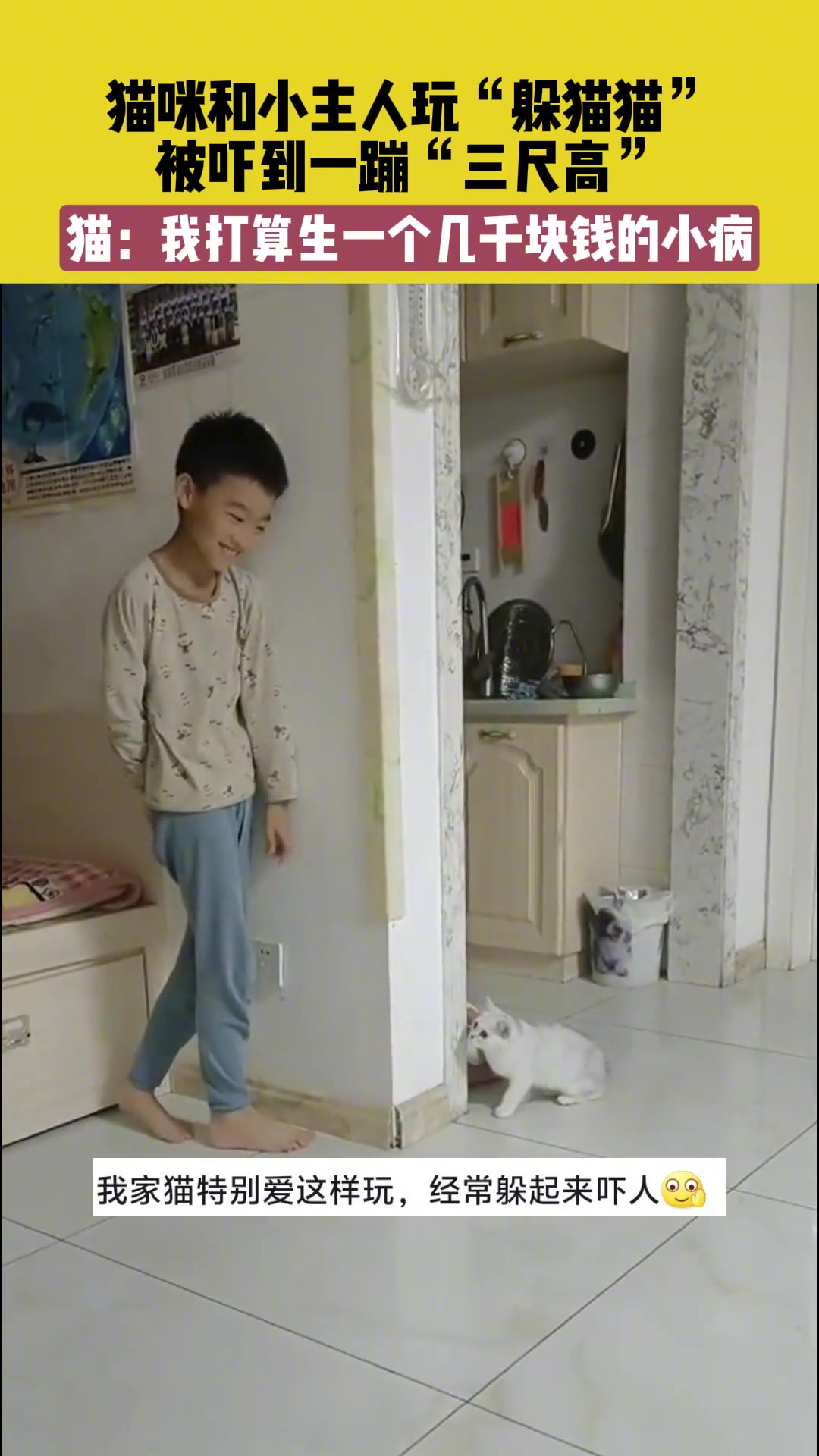 猫咪和小主人玩“躲猫猫” 被吓到一蹦“三尺高”