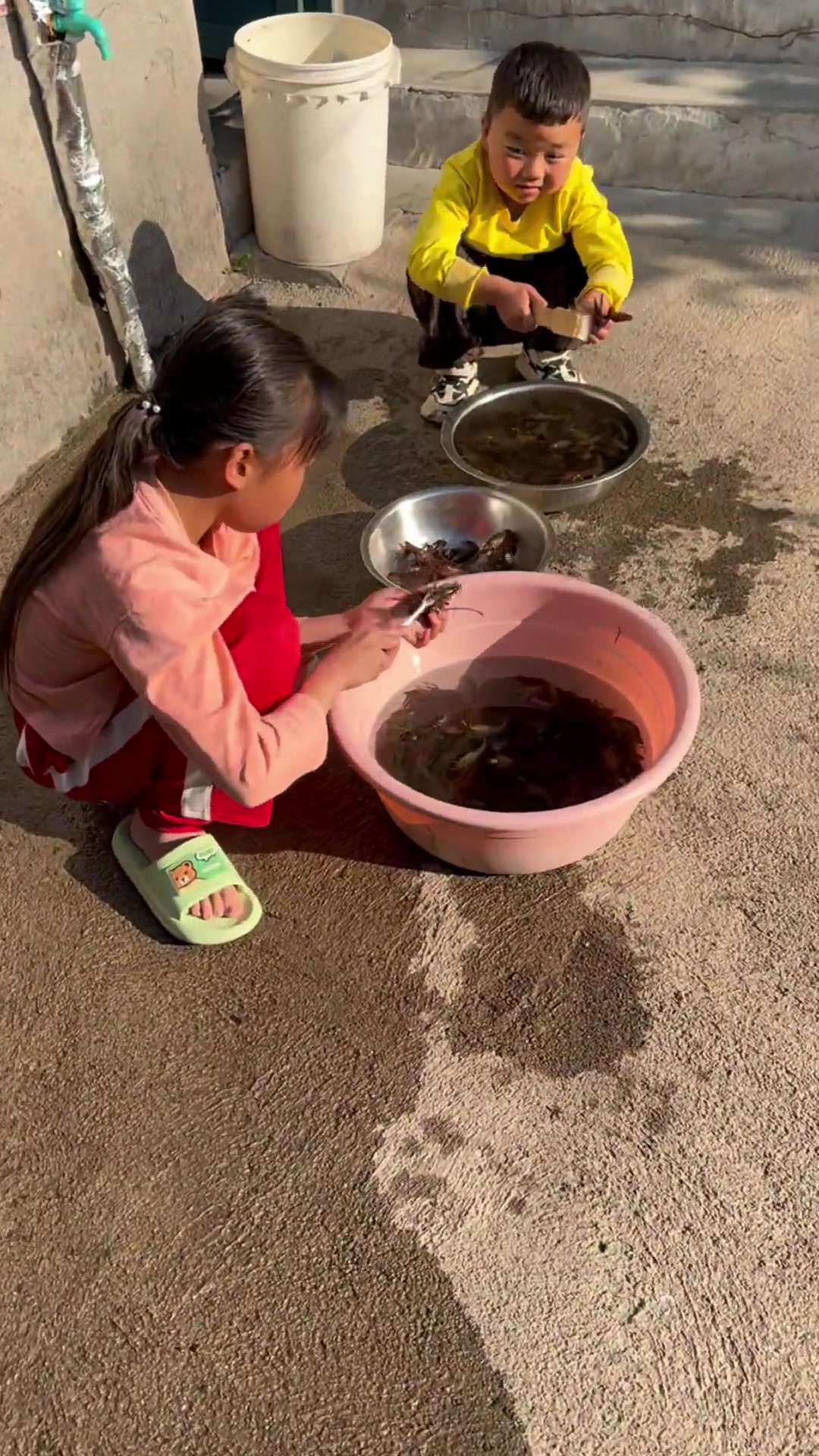 挨打洪湖还得做顿小龙虾讨好妈妈
