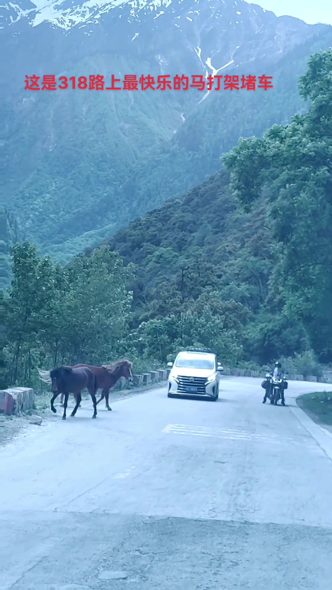 这是318路上最开心的堵车