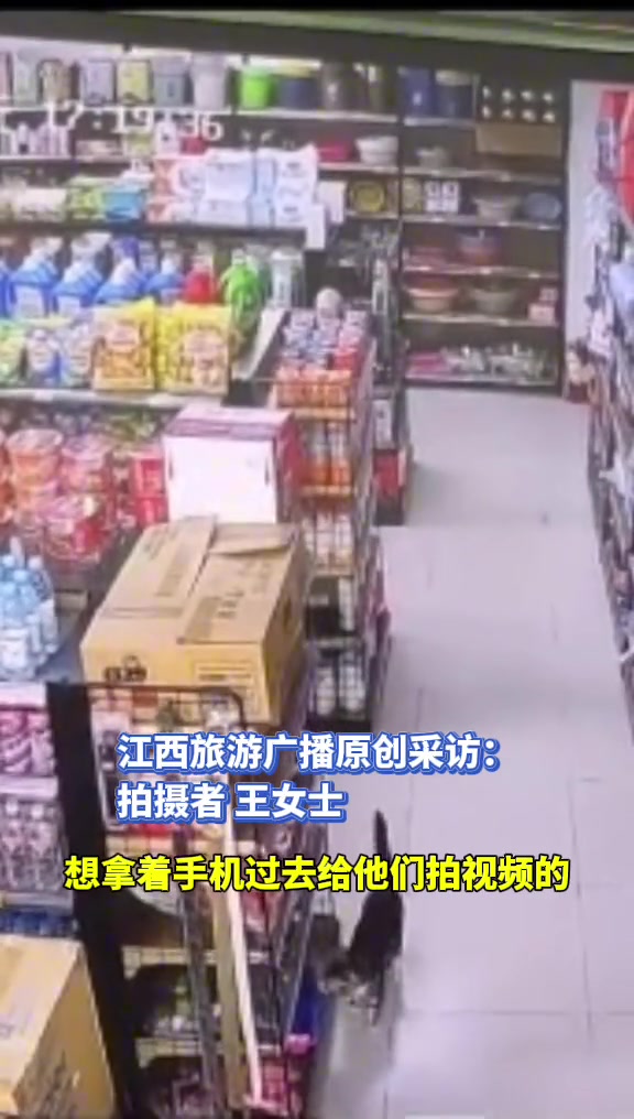 女子在超市看猫咪捉迷藏，突然一个影子飘过，原来是..