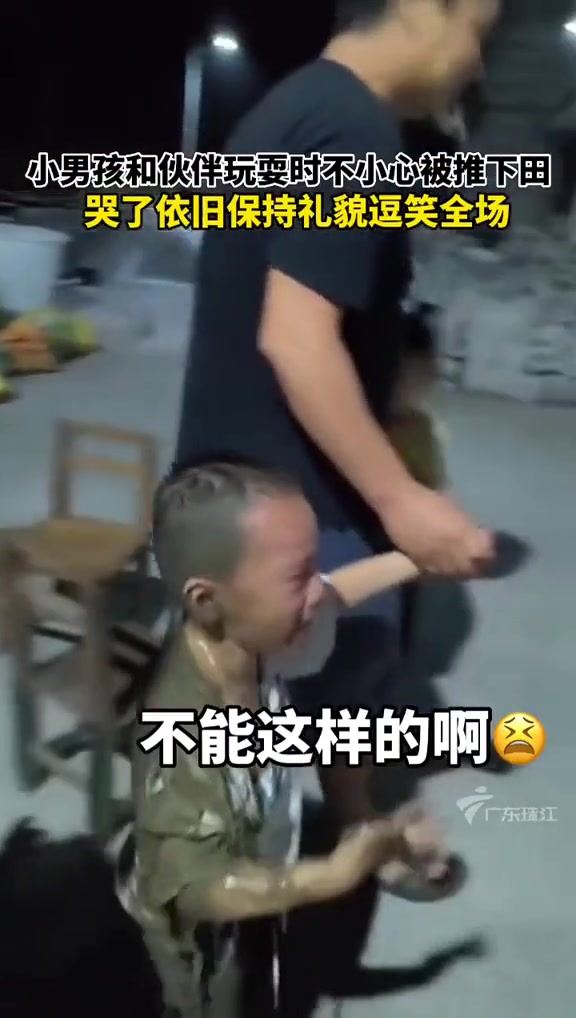 小男孩和伙伴玩耍不小心被推下田里，哭了依旧保持礼貌