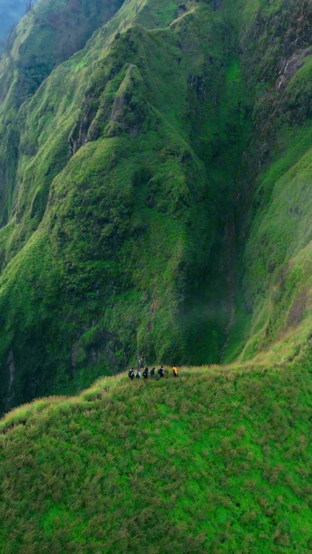 踏遍青山人未老，风景这边独好