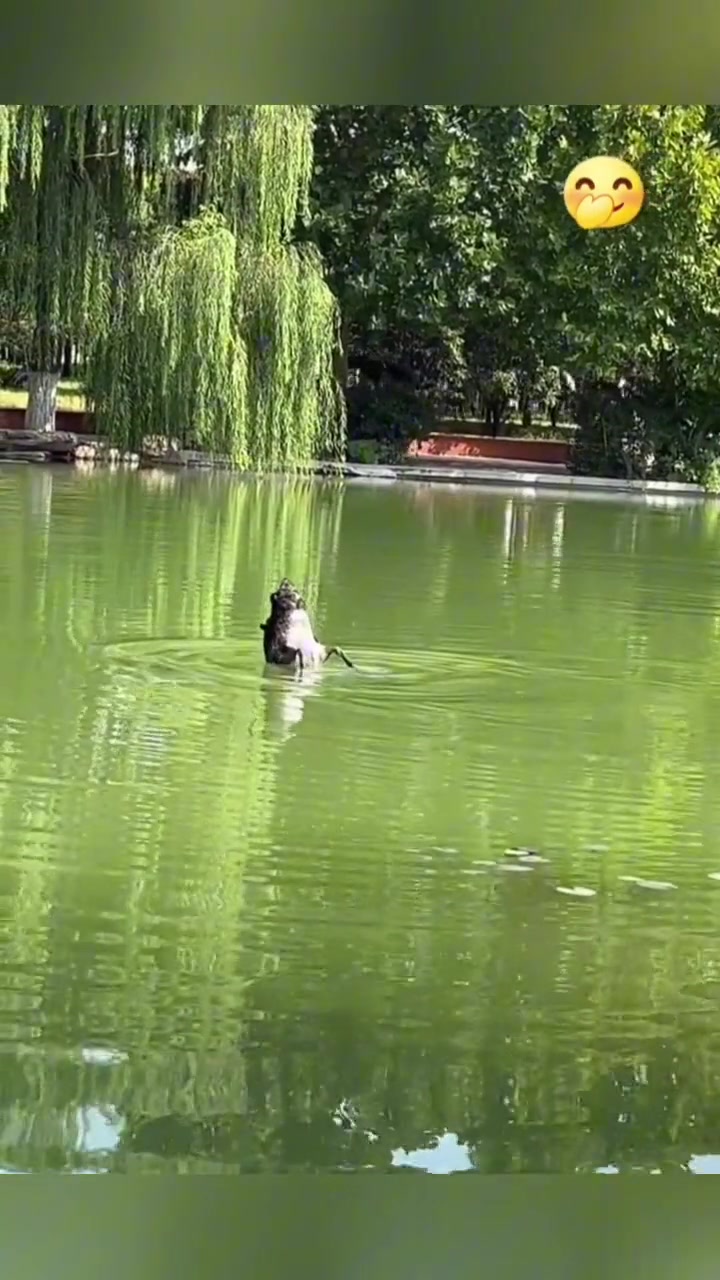 不到最后都不知道这是啥