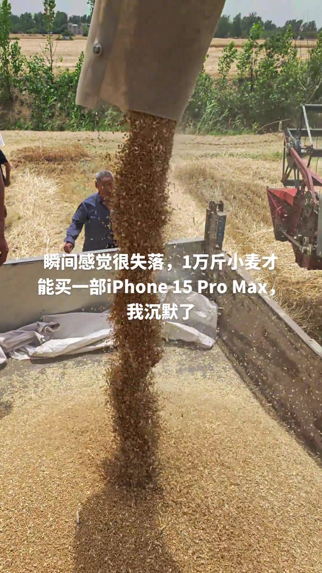 大米真的价格那么低吗