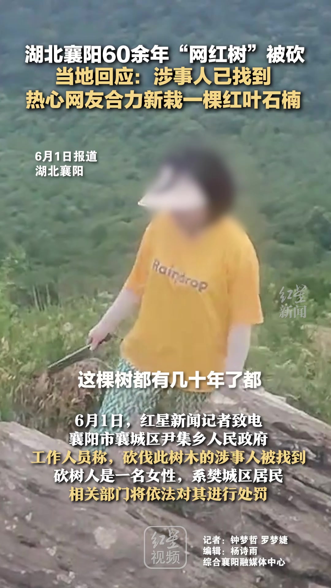别人犯的错，让其他人买了单