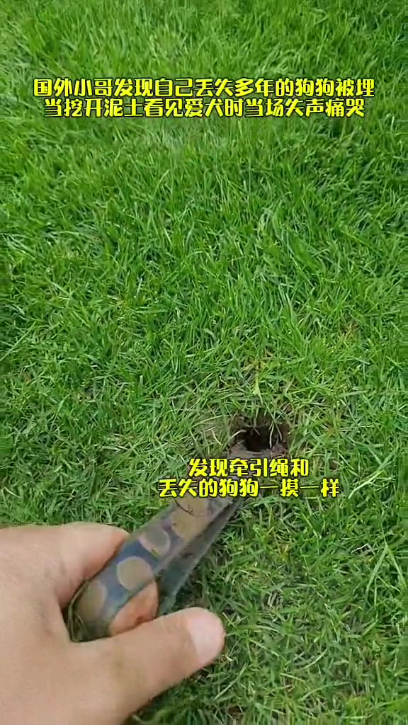 国外小哥看见被埋的爱犬时，失声痛哭