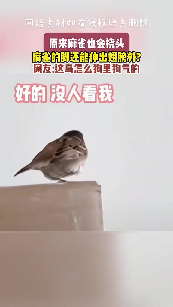 脱掉半个袖子挠头