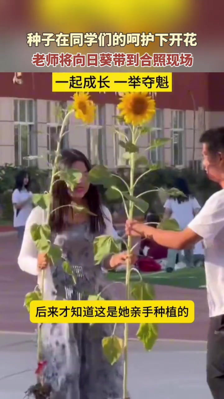 一起成长珍贵礼物！班主任带亲手种向日葵拍高三毕业照