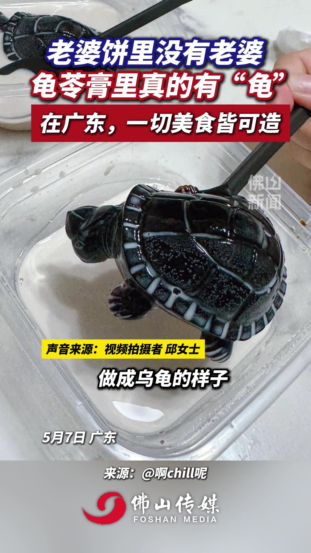 商家：你就说是不是龟吧！