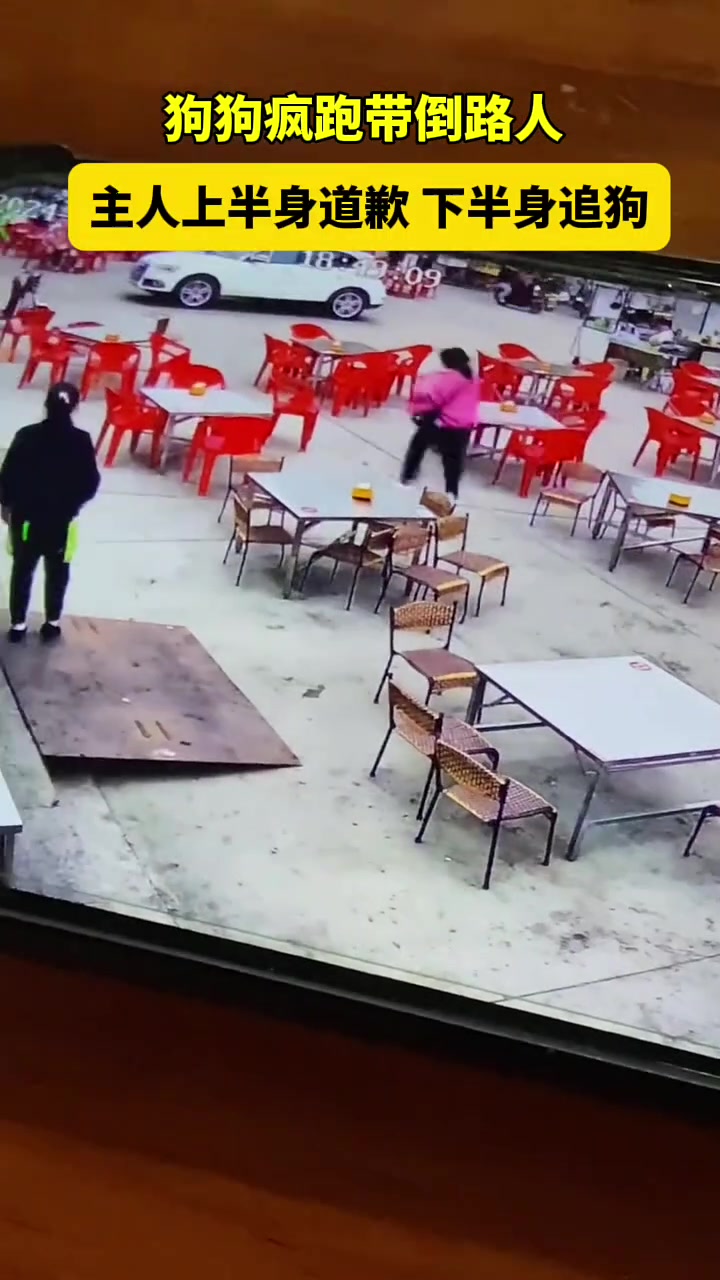 你敢信？我直接被一辆狗给绊倒了?！