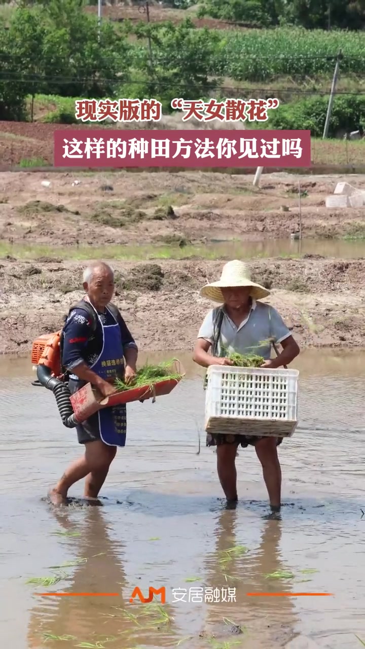 这玩意的存活率真的高吗？