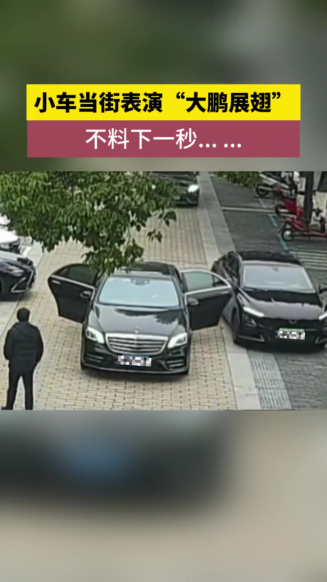 你要动她翅膀，我定毁你天堂！小车大鹏展翅后折翼！
