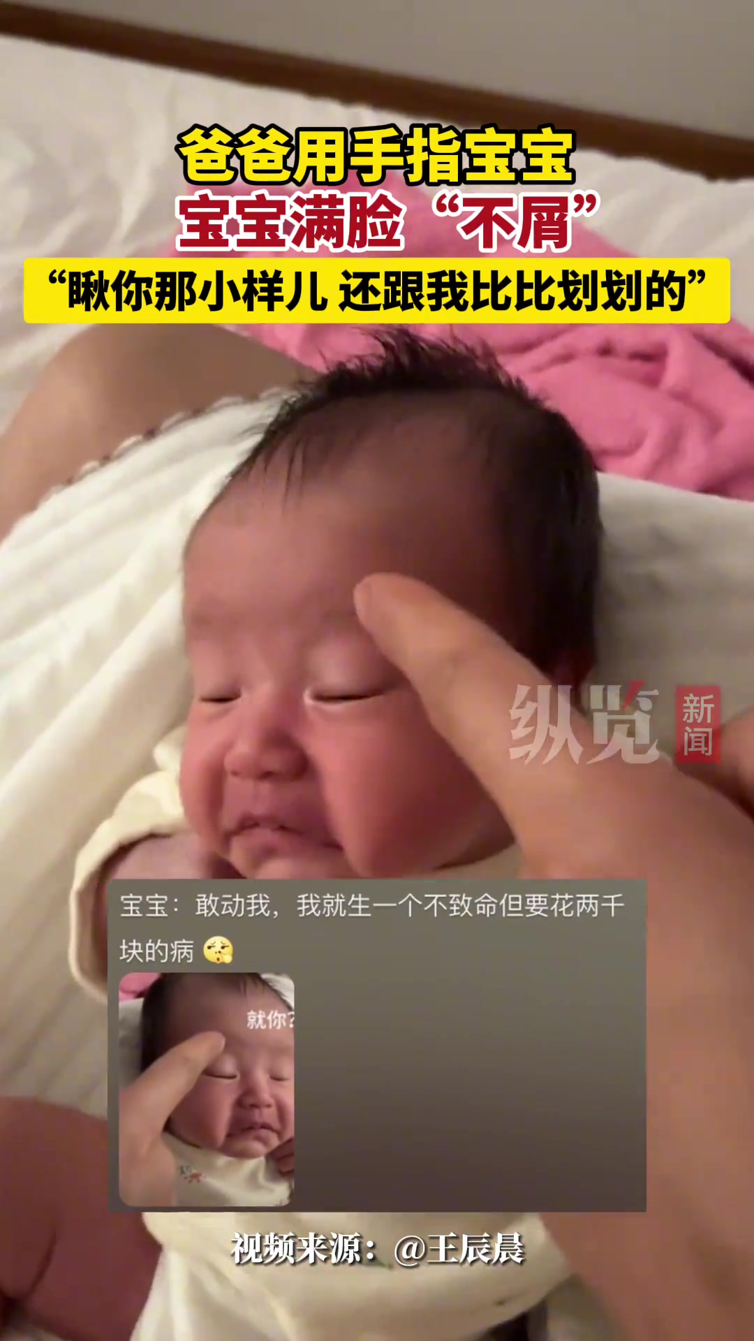 宝宝：瞅你那小样儿，还跟我比比划划的~