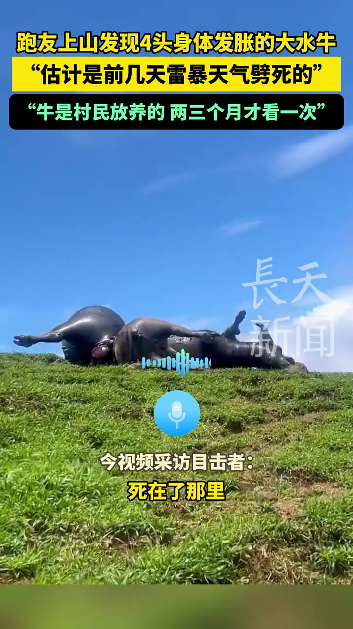 快跑！这绝对都是生化炸弹！吧友有见过吗？