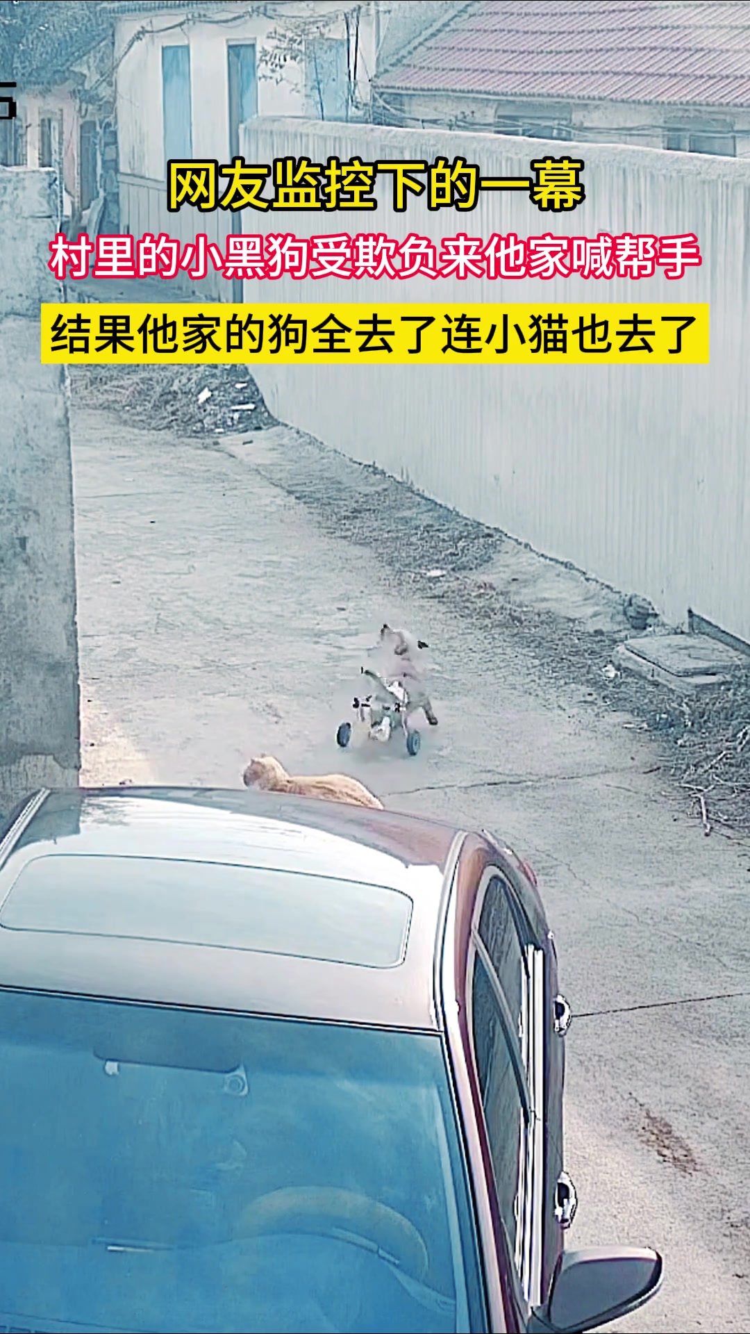 你猜最后一条狗是怎么瘸的？