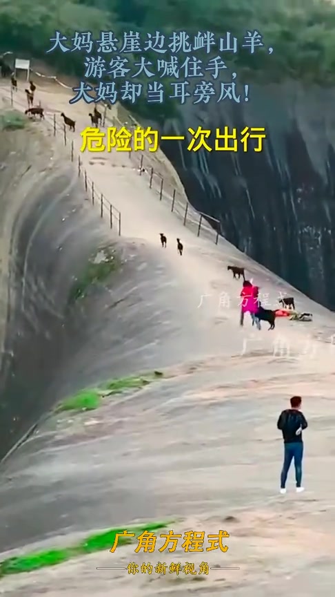 差点坠崖！大妈悬崖边挑衅山羊游客制止大妈却当耳旁风