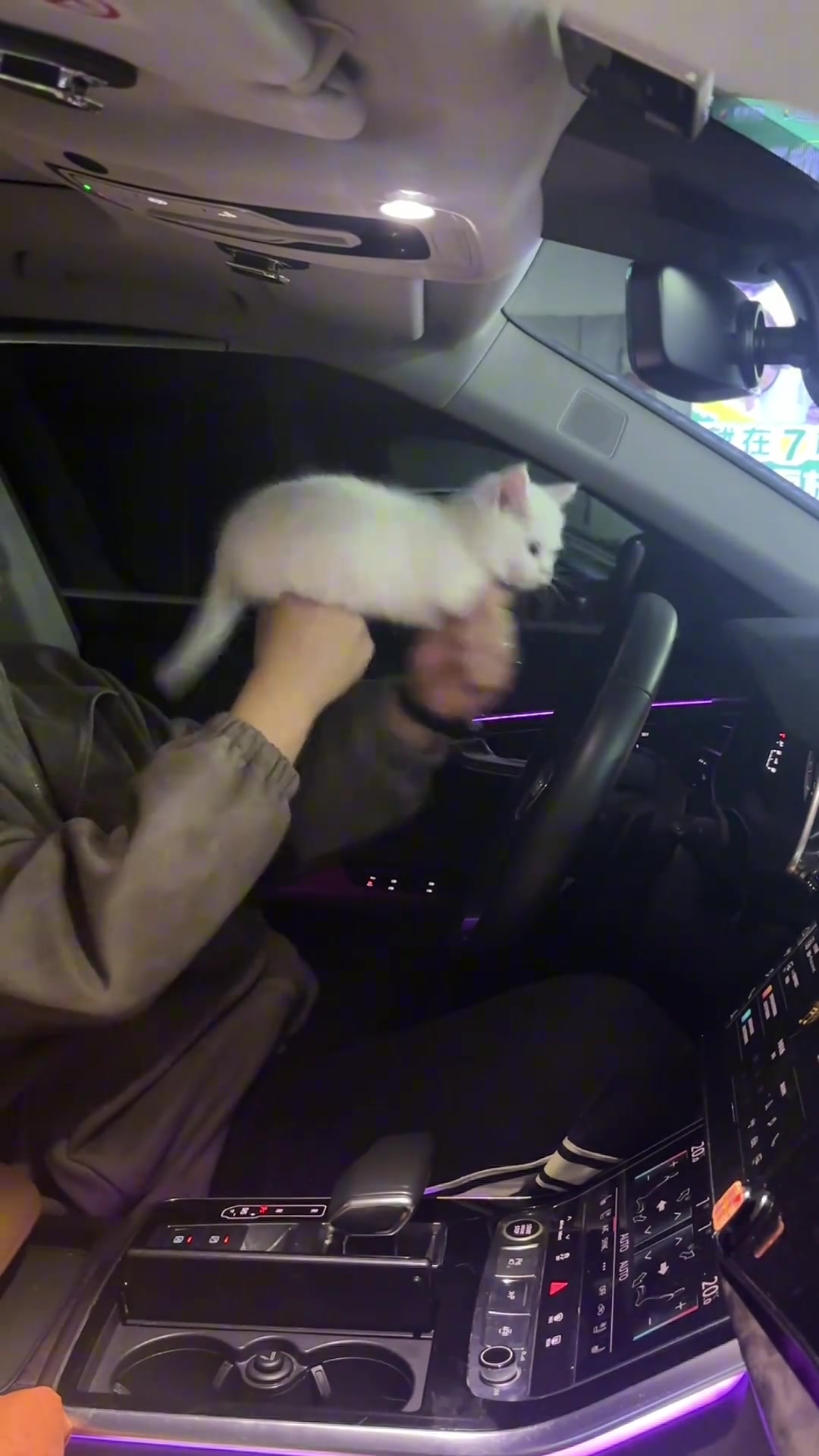 这么可爱的猫枪皮肤，确定不要吗？