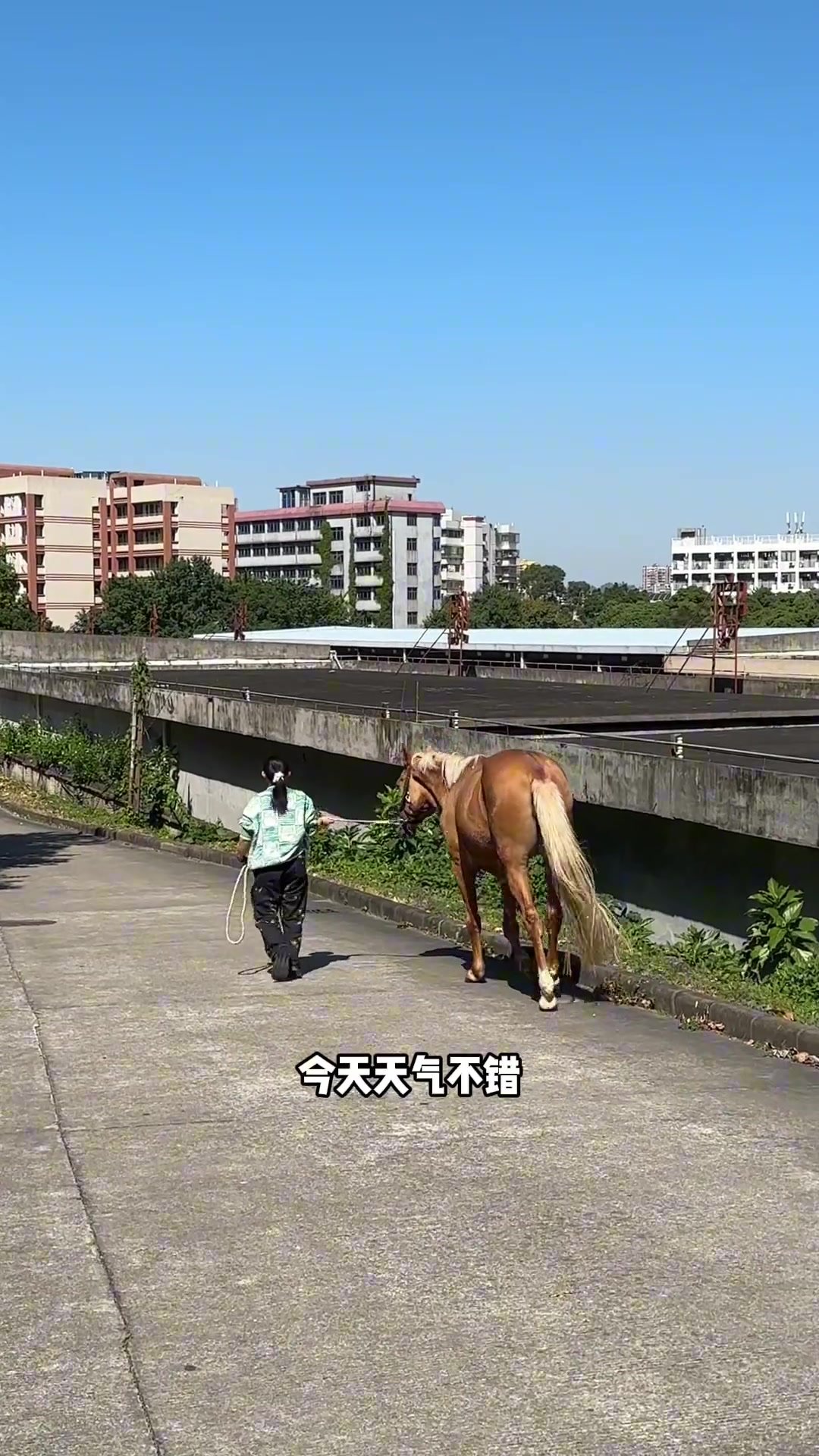 长见识了！农业大学的毕业论文竟然是养小动物啊