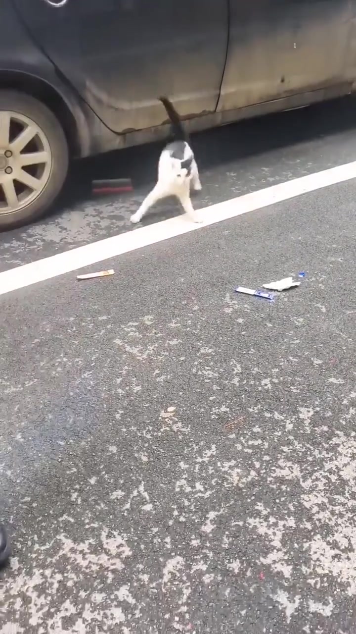 小姐姐这是硬抢别人孩子啊
