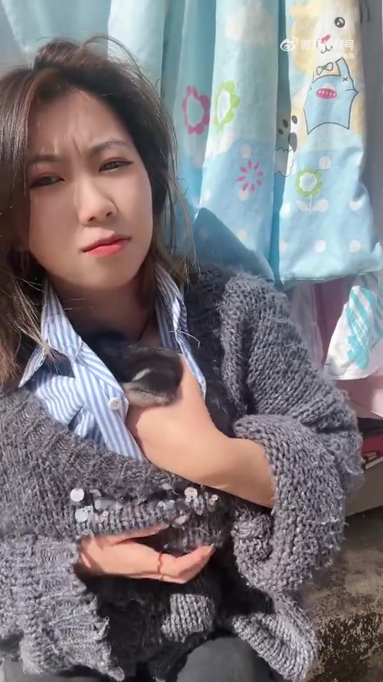 小奶狗真幸福！能被小姐姐藏进心里