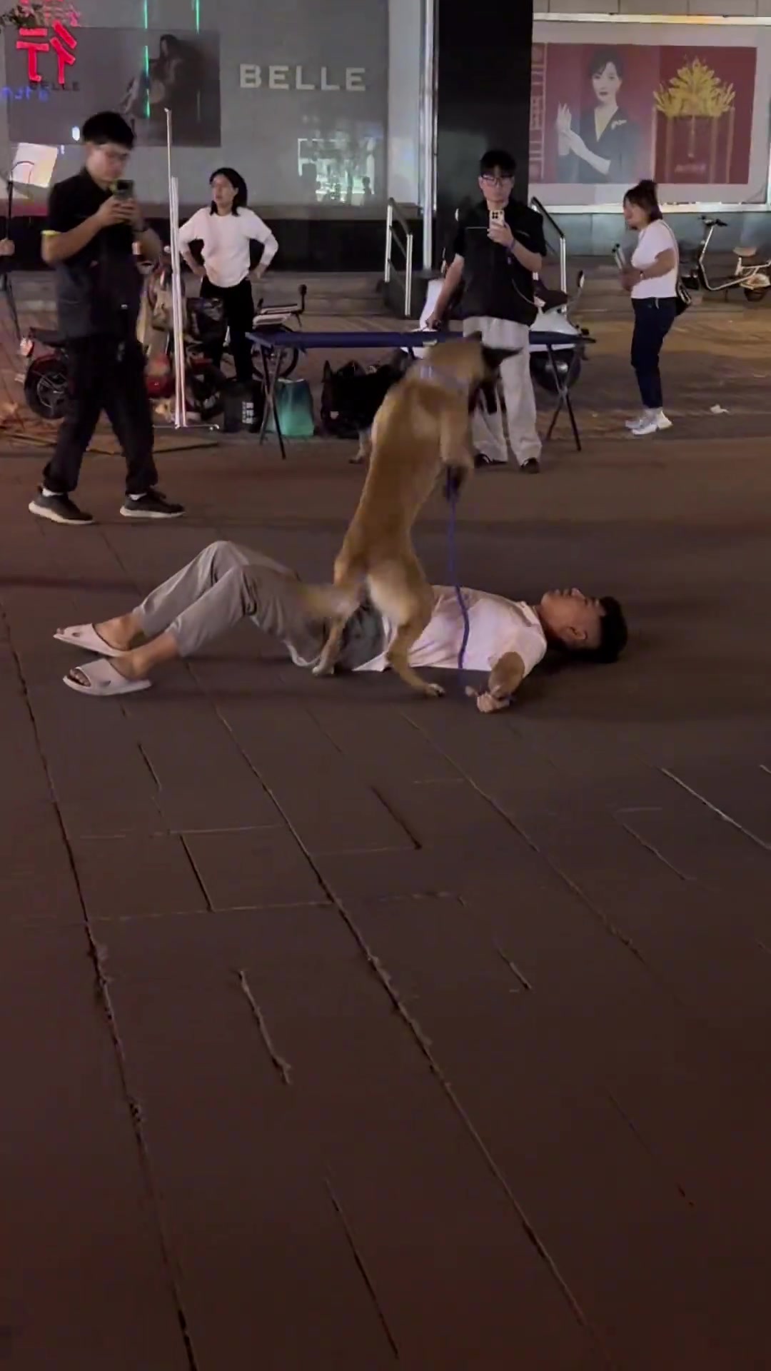 幸亏你起来了，不然他就狗工呼吸了！