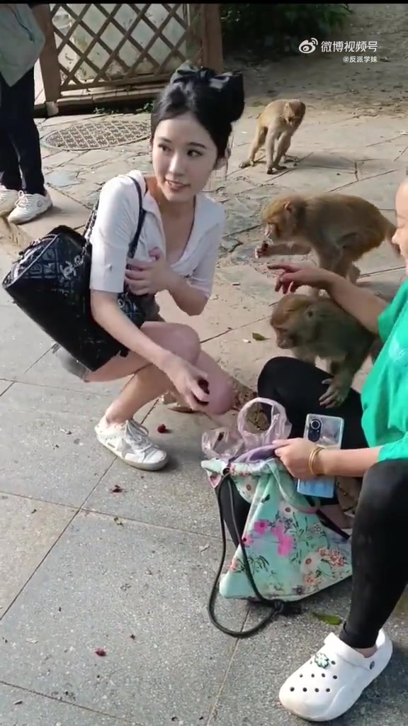 小姐姐一看就没有经验，要防猴子，更要防拍照的那位