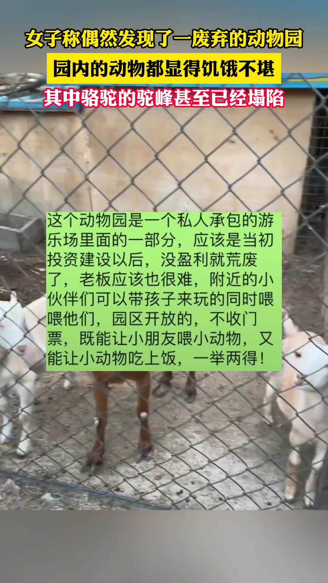 女子称偶然发现了一废弃的动物园，园内的动物都显得饥饿不堪