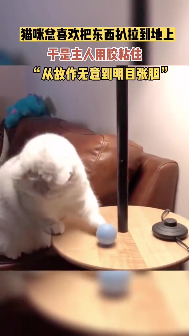 动作越来越嚣张