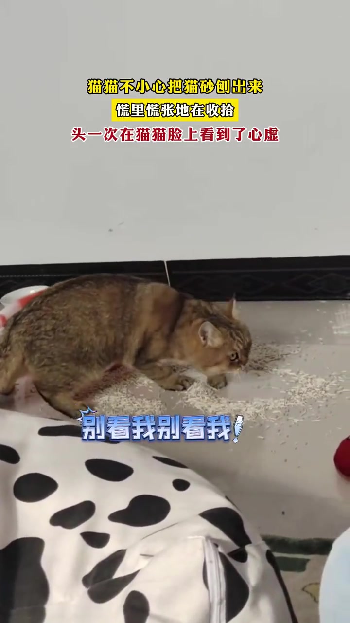 还抬头观察了一下