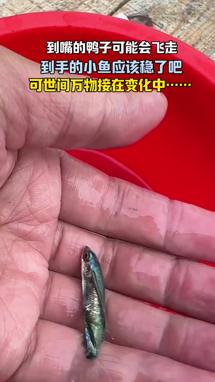 不能熬夜了，都出幻觉了