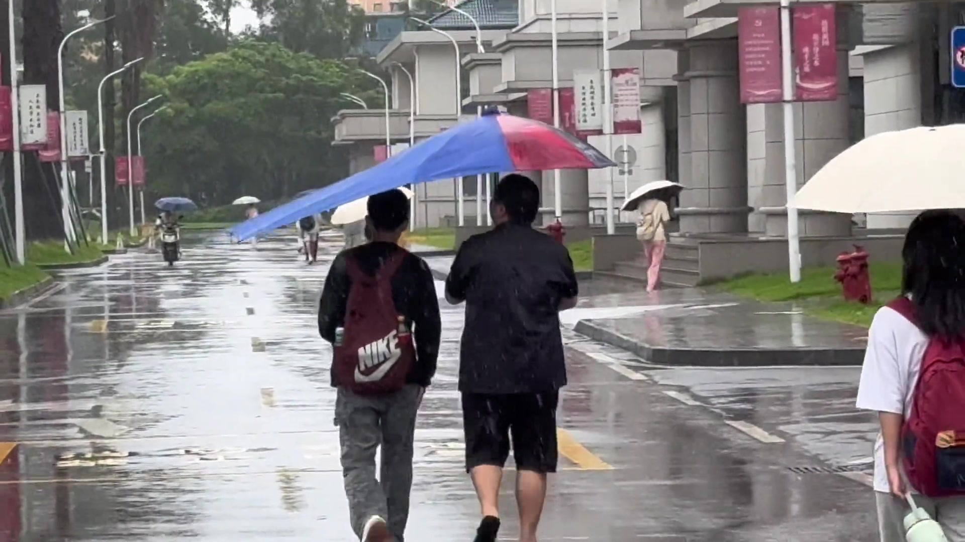 谁拿了花轮同学的帽子~