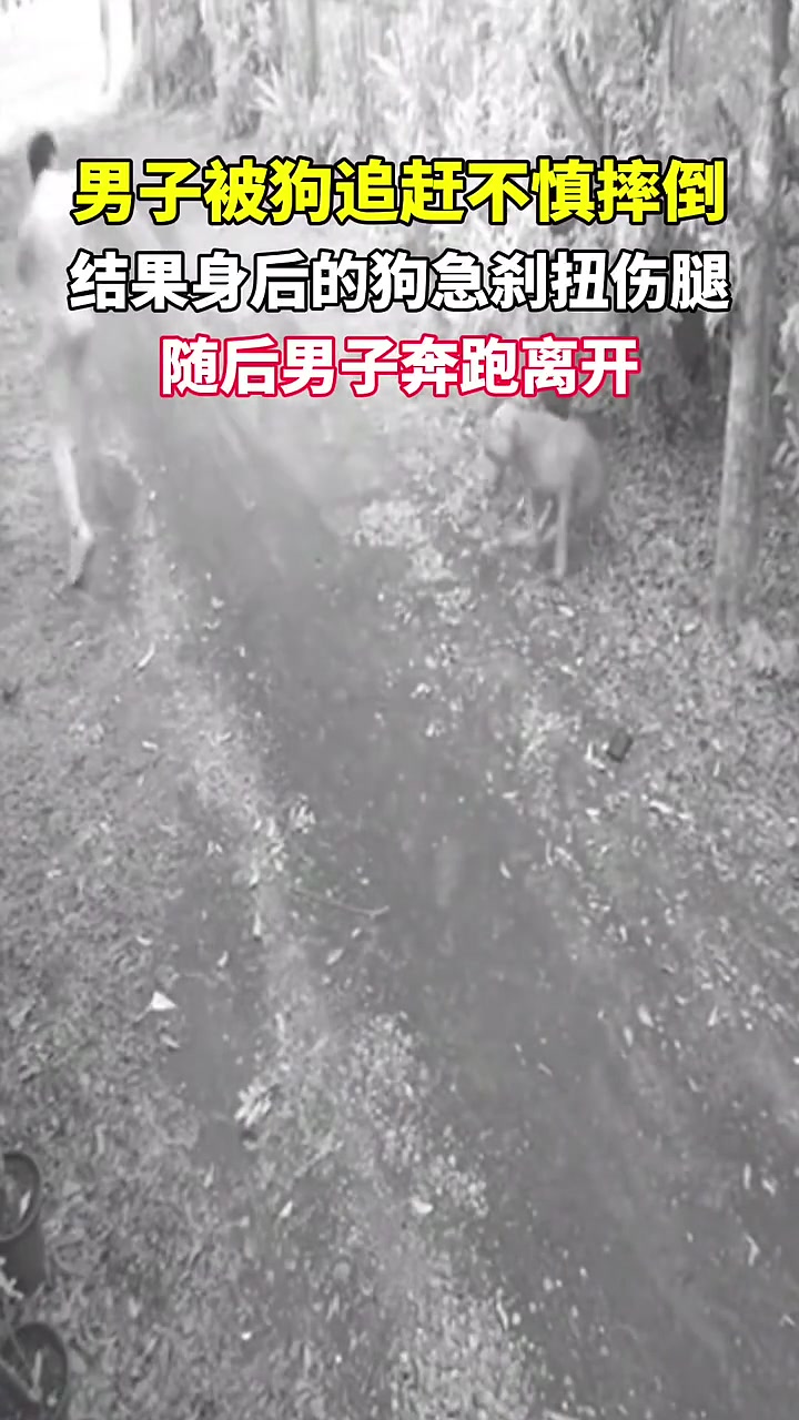 这四驱也不行啊，后轴都断了