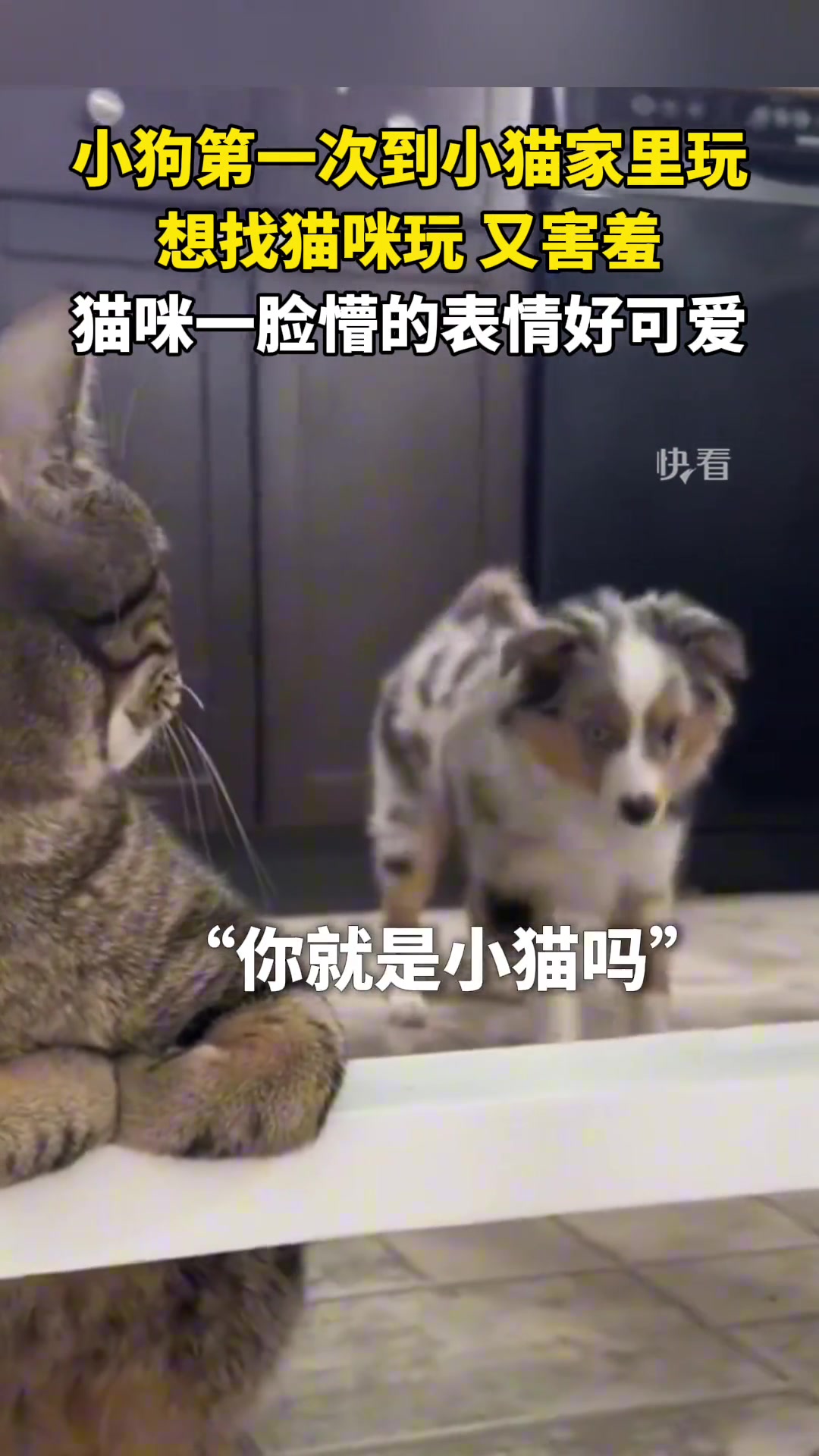 像极了我和初恋的样子！