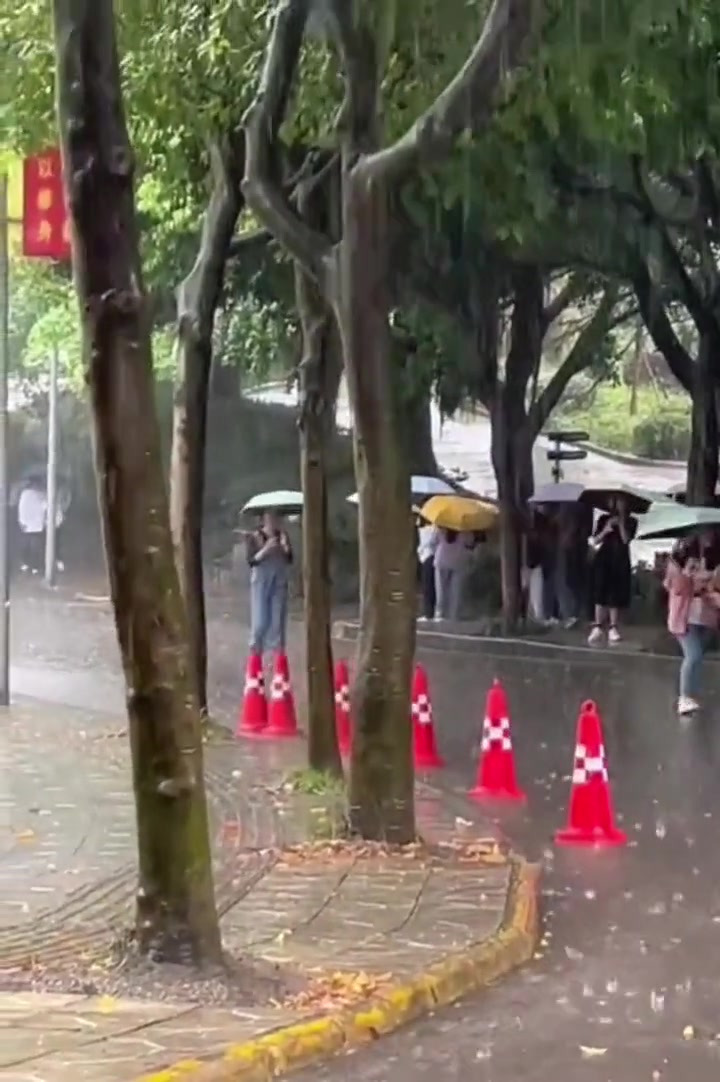 雨下太大了，路障们直接排队有序“撤退”