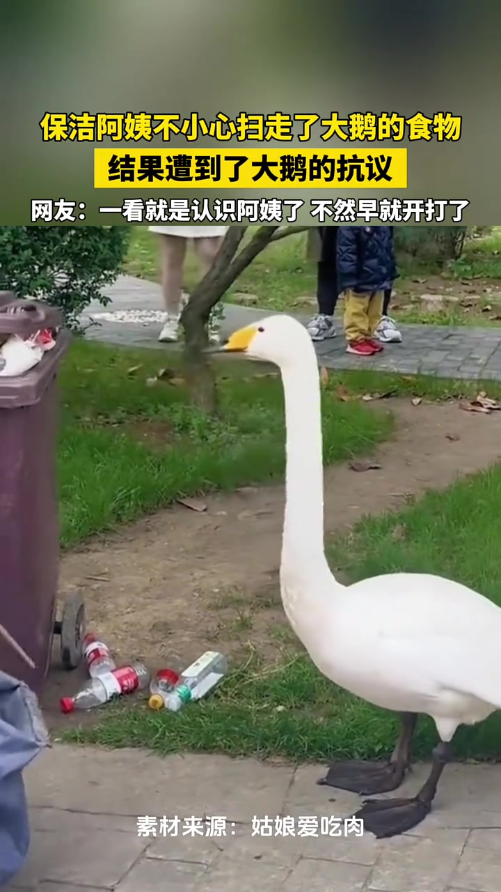 还好它只动嘴，没“动嘴”！