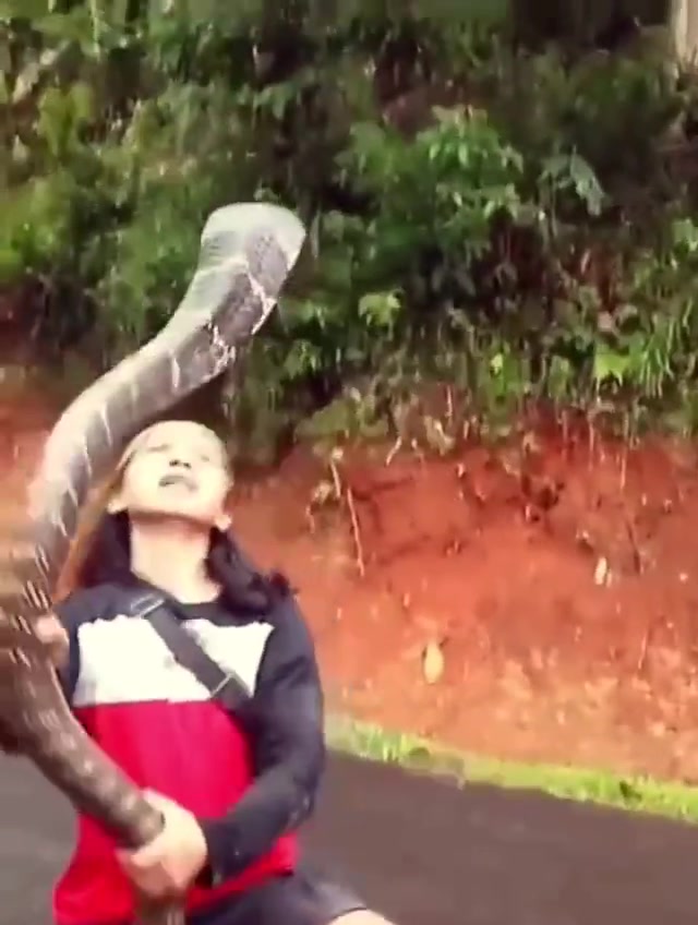 印度村民早上看到男子路边舞蛇可能晚上就能吃席了