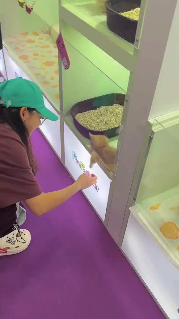 狗子睡着直接把爪子伸出门外，被小姐姐一顿猛摸
