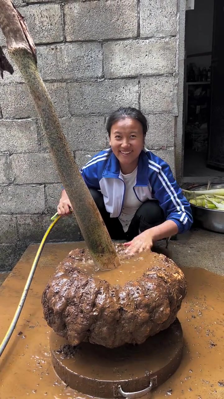 金色传说！这是魔芋王吧能长这么大一颗